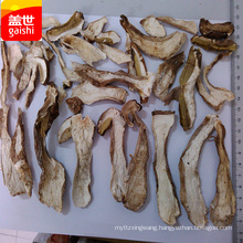 dried natural wild boletus mushroom for sale